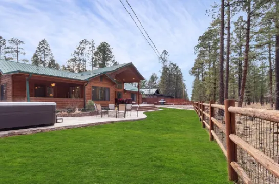 Bearfoot Cabin W/Hot Tub, Gas Fire Pit, Game Room & Direct Forest Access