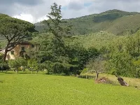 19th century villa: living room, dining, study, 5 double rooms, park,, panorama. Hotels in Calci