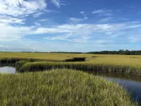 Amelia Island Plantation Spectacular ocean front
