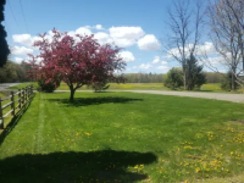 Fully Renovated rural cottage in the perfect spot!