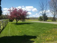Fully Renovated rural cottage in the perfect spot! Hotel dekat Watkins Glen State Park