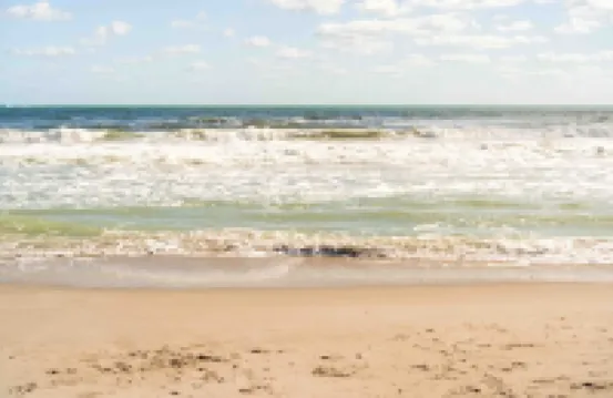 Private Tropical Beach Oasis - Coral