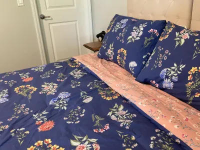 Joyful 4 bed 2 bath home in the beautiful Port St.Lucie Отели рядом с достопримечательностью «Ландинг эт Трейдишен»