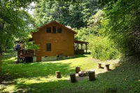 🐾 Bobcat Run - real log cabin w/ huge hot tub! Near Watauga Lake 🚤 & River 🐟 Hoteles en Municipio de Laurel Creek