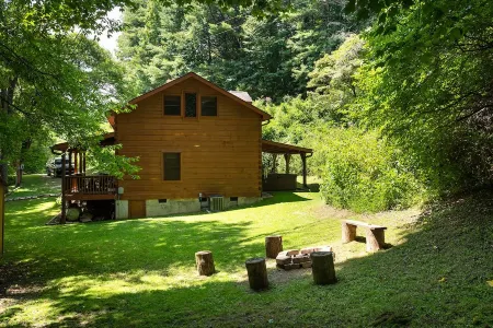 🐾 Bobcat Run - real log cabin w/ huge hot tub! Near Watauga Lake 🚤 & River 🐟