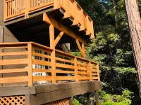 Surrounded by Redwoods with Ocean View & beach access Hotels in Gualala