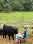 Unique Remodeled 1888 Schoolhouse with Highland Cows