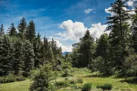 Skyline cottage, private hot tub, wifi sleeps 4!