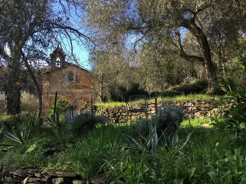 Romantisches Landhaus im Naturgarten/olivenhain mit Eigenem Parkplatz