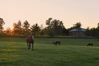 Renovated Train Station on Thoroughbred Horse Farm