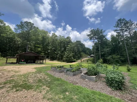Mountain Cabin on the Chief Ladiga Bike Path, Terrapin Creek, and Pinhoti Trail Отели в г. Клиберн