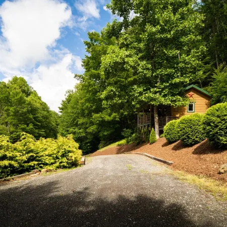 Relaxing cabin getaway only minutes from the Blue Ridge Parkway. Pet friendly!