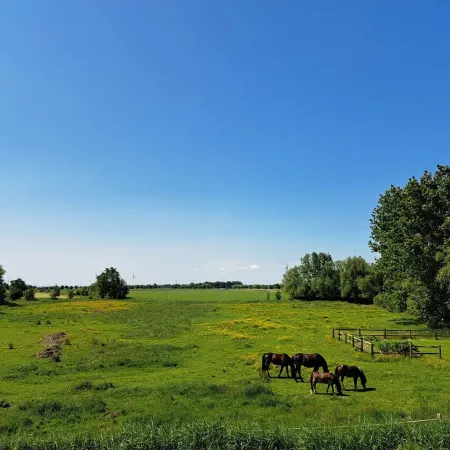 FeWo Vißer's Landblick <br>For those seeking peace and quiet, couples, families with babies