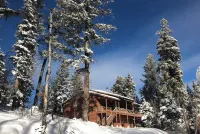 Beautiful & Cozy Mountain Cabin- less than 5 mins to Burro Street Hotels near Aquatic Dwellings Waterfall