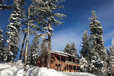Beautiful & Cozy Mountain Cabin- less than 5 mins to Burro Street
