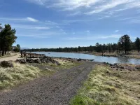 Lux 4 bed Cozy Chalet in the pines Near Grand Canyon/Downtown Williams/Bearizona