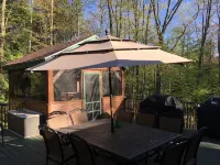 Lake Winni, walk to the beach, boat ramp, 3 acres, pool table, firepit, canoe