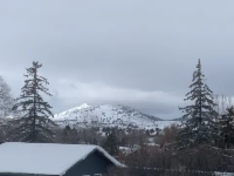 Whitetail cottage! 🦌 Spacious home with game room. Near OIT and SkyLakes. Hotels in Altamont