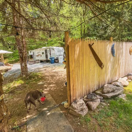 Roscoe RV Pet Friendly