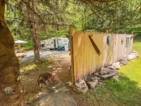Roscoe RV Pet Friendly