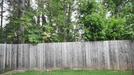 Keizer Rapids Mini Estate 🌊 (Near In-N-Out)