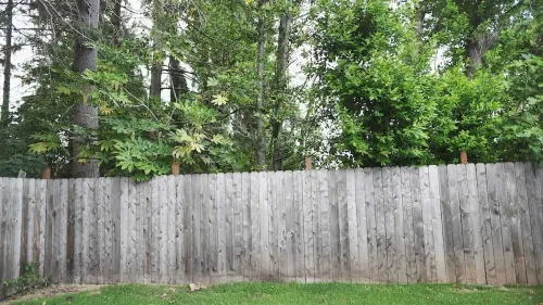 Keizer Rapids Mini Estate 🌊 (Near In-N-Out)