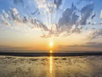 Bird migration, holiday apartment in "De Feerjenhusen" on the Haubarg of Vollerwiek Hotels in Vollerwiek