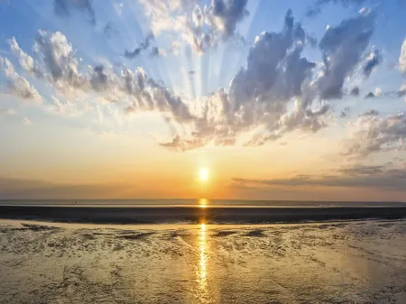 Bird migration, holiday apartment in "De Feerjenhusen" on the Haubarg of Vollerwiek