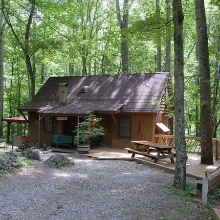 Rustic Mountain Retreat-Bear Paw