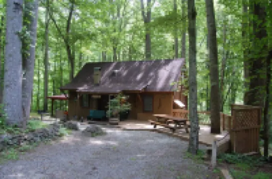 Rustic Mountain Retreat-Bear Paw