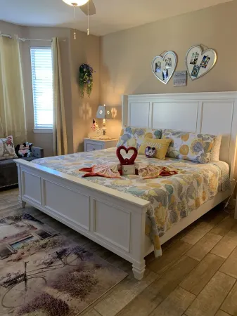 Mickey & Minnie mouse dream trip