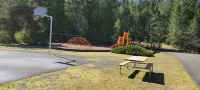 Charming Retreat w/ Woodstove & Old School Movies - Hoodsport / Lake Cushman