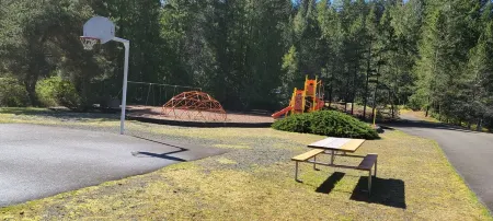 Relaxing Cabin Adjacent Olympic National Park / Forest & Beautiful Lake Cushman!