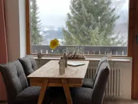 Renovated 1-room apartment