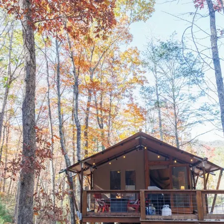 BEARADISE “Glamping Paradise”