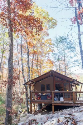 BEARADISE “Glamping Paradise”