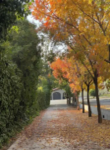 Brand New Charming Guest House in lovely Northwest Glendale CA. Private &Quiet