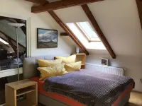 Stylishly furnished apartment in Rathmannsdorf in the Zauketal, allergy sufferers