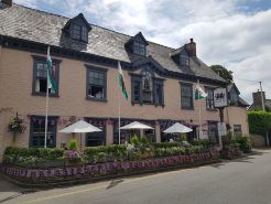 Dragon Inn
