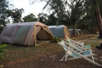 The Camp Resort Hotels in Khura Buri