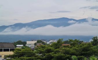 Gord ChiangMai