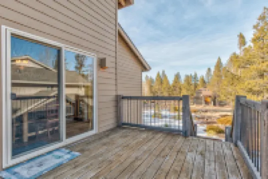 Paper Birch - Unit 10