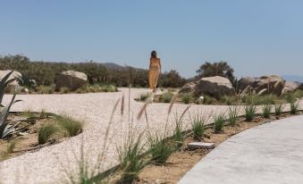 Milestones Naxos