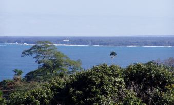 Island Goode's - Luxury Adult Only Accommodation Near Hilo