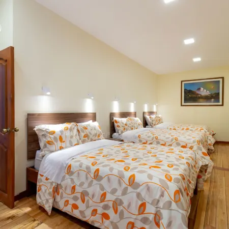 Hotel David