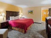 Osage Creek Lodge Hotels in Cedar Township