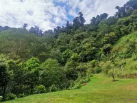 Millar de Aves Hotels in Cartago