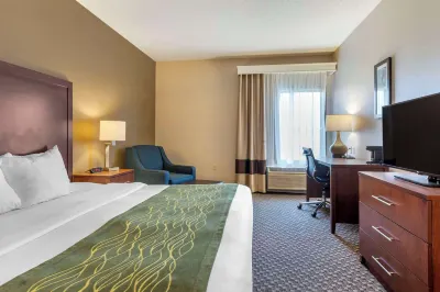 Comfort Inn Charlotte Hotels in Charlotte