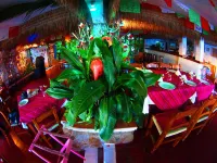 Hotel Flamingos