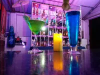 Toshali Sands Puri - bar